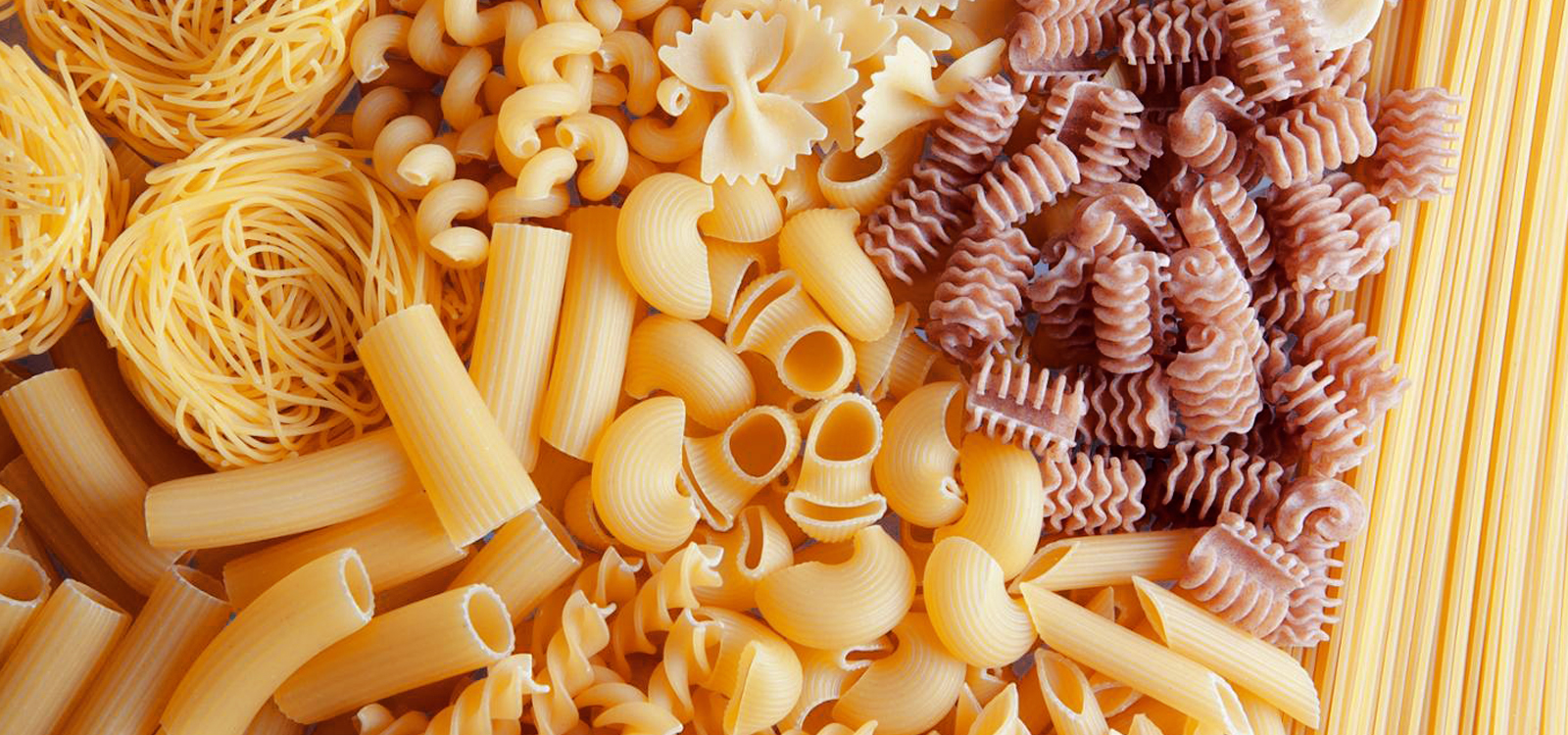 noodle pasta